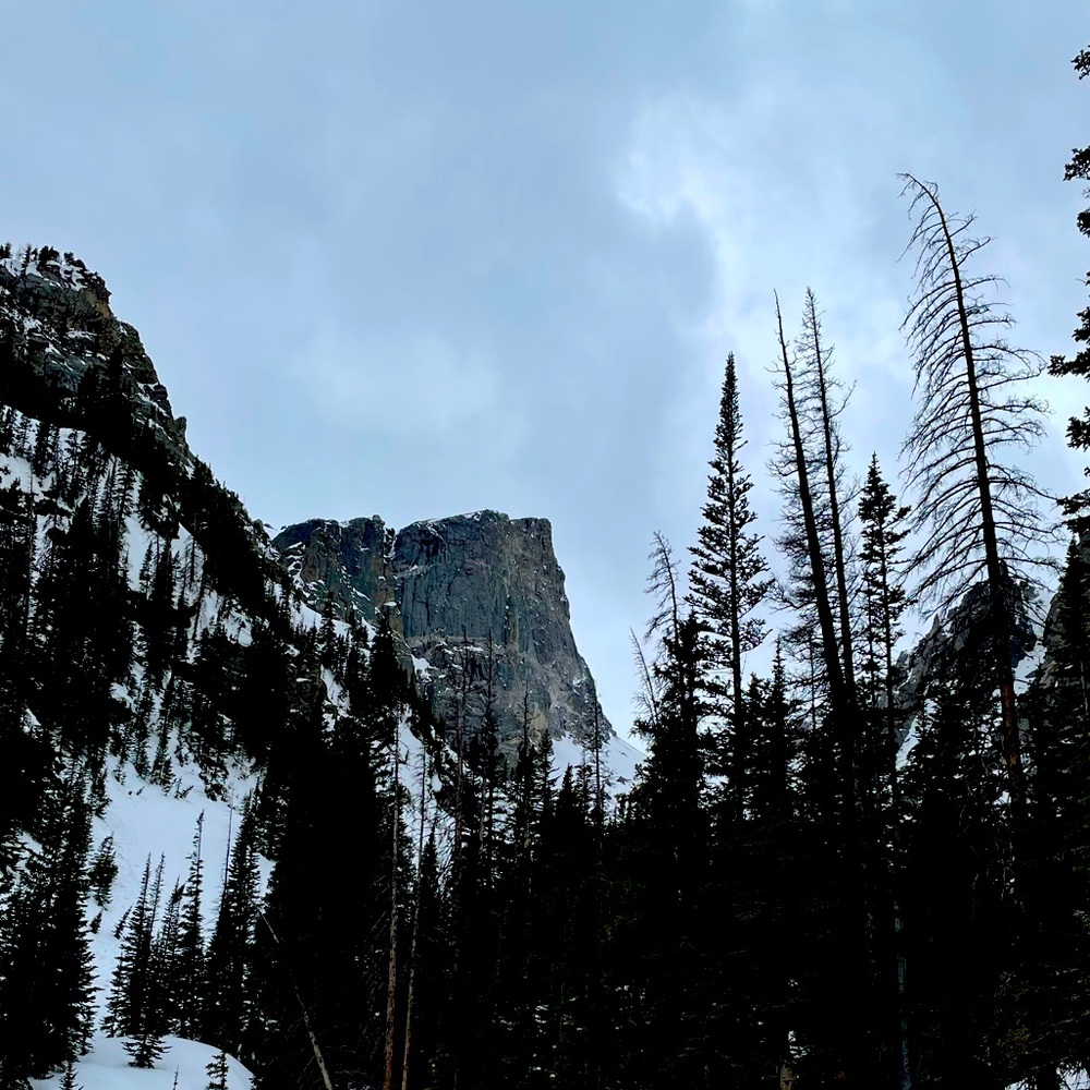 Meet your Posher’s, David and Tracy!